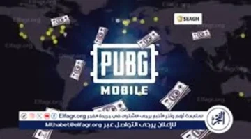 شحن 24 ألف شدة.. طريقة الاستفادة من عروض ببجي عبر موقع ميداس باي